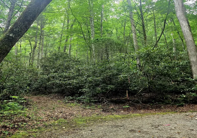 Homes for sale in Tellico Plains, TN | 0 Holder Cemetery Road, Tellico Plains, TN 37385 | MLS# 3250406