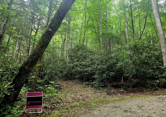 Homes for sale in Tellico Plains, TN | 0 Holder Cemetery Road, Tellico Plains, TN 37385 | MLS# 3250406
