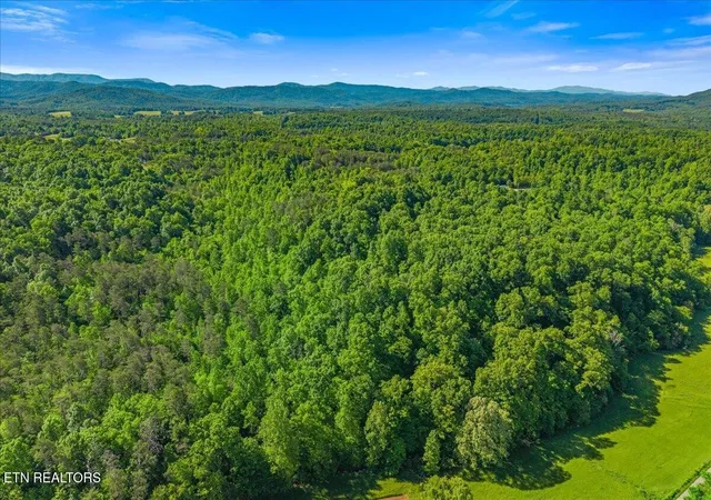 17th image of 0 Shadden Road, Tellico Plains, TN 37385 | MLS# 3229302