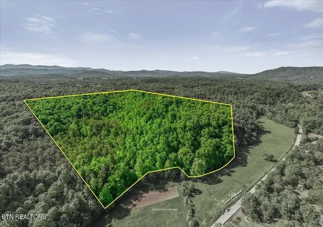 2nd image of 0 Shadden Road, Tellico Plains, TN 37385 | MLS# 3229302