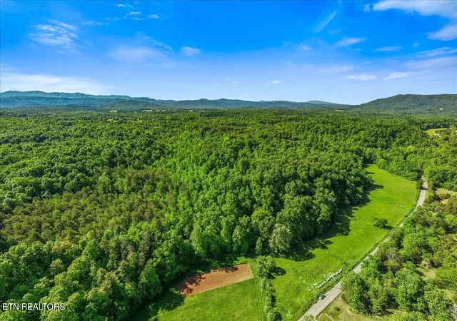 3rd image of 0 Shadden Road, Tellico Plains, TN 37385 | MLS# 3229302