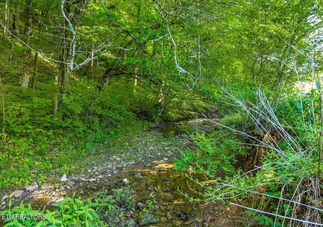 4th image of 0 Shadden Road, Tellico Plains, TN 37385 | MLS# 3229302