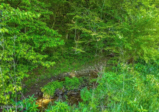 5th image of 0 Shadden Road, Tellico Plains, TN 37385 | MLS# 3229302