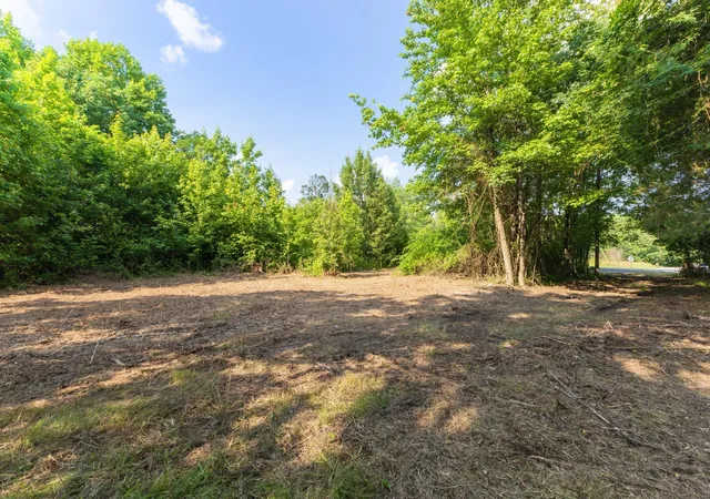 1st image of 0 Hwy 41a, Joelton, TN 37080 | MLS# 3189937
