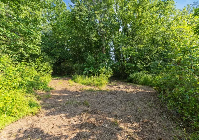 11th image of 0 Hwy 41a, Joelton, TN 37080 | MLS# 3189937