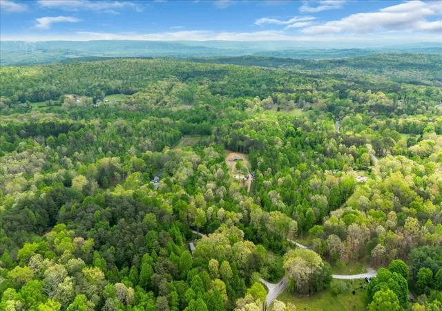 Homes for sale in Tracy City, TN | 195 Roddy Springs Rd, Tracy City, TN 37387 | MLS# 3189979