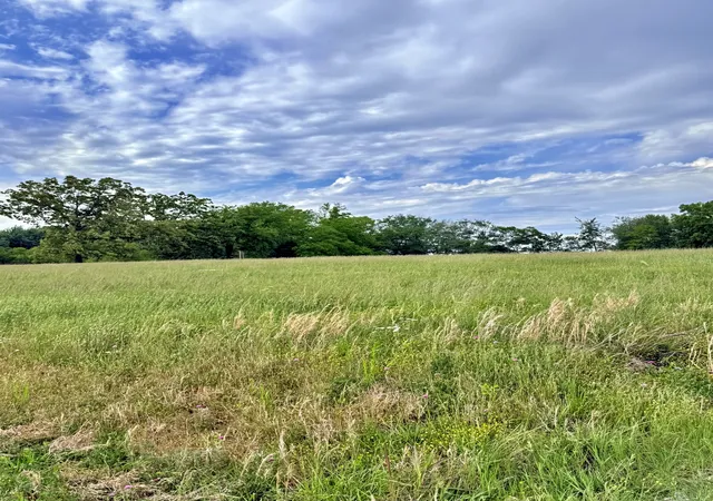 6th image of 0 Hwy 41 N, Springfield, TN 37172 | MLS# 3191583