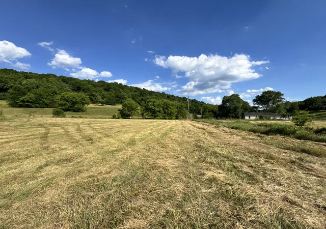 3rd image of 0 Duke Hollow Ln, Carthage, TN 37030 | MLS# 3319332