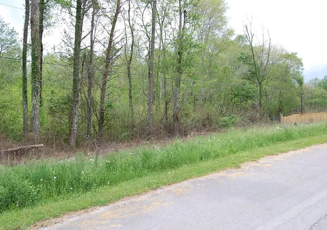Homes for sale in Gruetli Laager, TN | 66 51St Avenue, Gruetli Laager, TN 37339 | MLS# 3190156