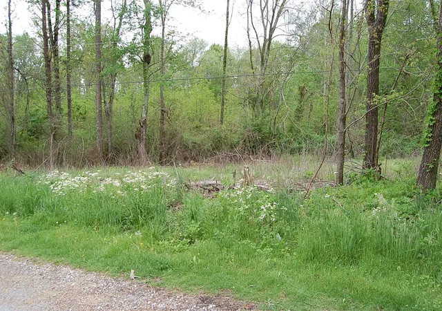 Homes for sale in Gruetli Laager, TN | 67 51st Avenue, Gruetli Laager, TN 37339 | MLS# 3190170