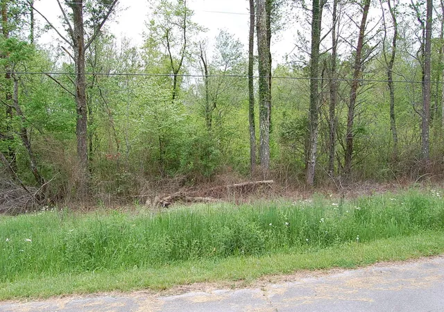 Homes for sale in Gruetli Laager, TN | 67 51St Avenue, Gruetli Laager, TN 37339 | MLS# 3190170