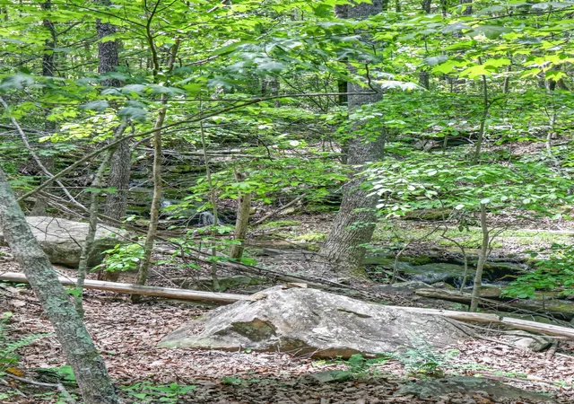 Photo 3 of Land for sale at 1215 Stage Coach Rd, Sewanee, TN 37375 | MLS# 3216423 | Listing updated on 2026-09-23