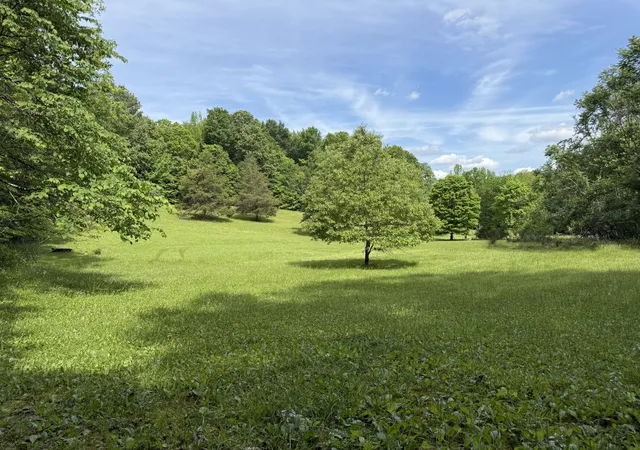 Homes for sale in Linden, TN | 17177 Hwy 438 W, Linden, TN 37096 | MLS# 3191027
