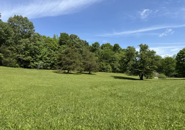 Homes for sale in Linden, TN | 17177 Hwy 438 W, Linden, TN 37096 | MLS# 3191027
