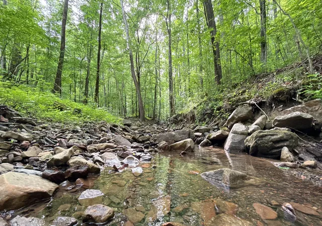 Photo 2 of Land for sale at 0 Murphy Holw Rd, Trenton, GA 30752 | MLS# 3190424 | Listing updated on 2026-08-18