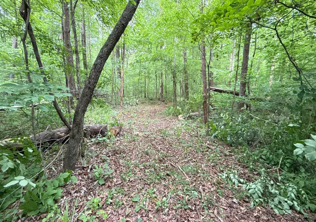 Photo 3 of Land for sale at 0 Murphy Holw Rd, Trenton, GA 30752 | MLS# 3190424 | Listing updated on 2026-08-18