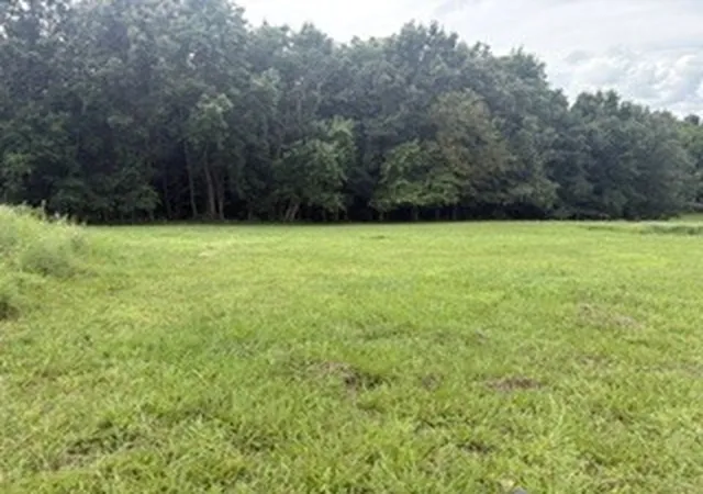 Photo 3 of Land for sale at 4884 Rock House Rd, Portland, TN 37148 | MLS# 3190702 | Listing updated on 2026-10-07