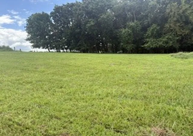 Photo 3 of Land for sale at 4884 Rock House Rd, Portland, TN 37148 | MLS# 3190702 | Listing updated on 2026-10-07