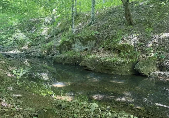 Photo 1 of Land for sale at 1 Bbq Rd, Dickson, TN 37055 | MLS# 3191700 | Listing updated on 2026-08-18