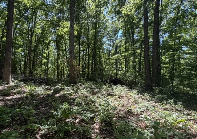 Photo 2 of Land for sale at 1 Bbq Rd, Dickson, TN 37055 | MLS# 3191700 | Listing updated on 2026-08-18