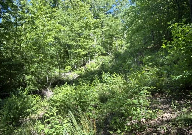 Photo 3 of Land for sale at 1 Bbq Rd, Dickson, TN 37055 | MLS# 3191700 | Listing updated on 2026-08-18