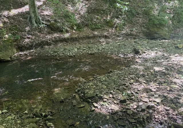 Photo 4 of Land for sale at 1 Bbq Rd, Dickson, TN 37055 | MLS# 3191700 | Listing updated on 2026-08-18