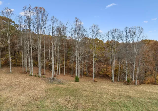 Photo 50 of Land for sale at 5515 Old Hwy 96, Franklin, TN 37064 | MLS# 3205678 | Listing updated on 2026-08-18