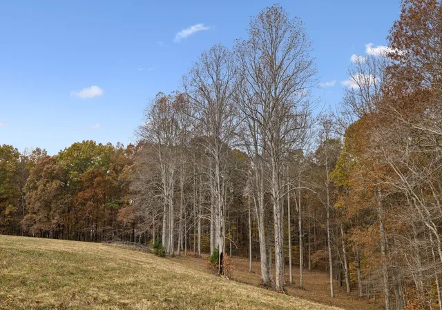 Photo 4 of Land for sale at 5515 Old Hwy 96, Franklin, TN 37064 | MLS# 3205678 | Listing updated on 2026-08-18