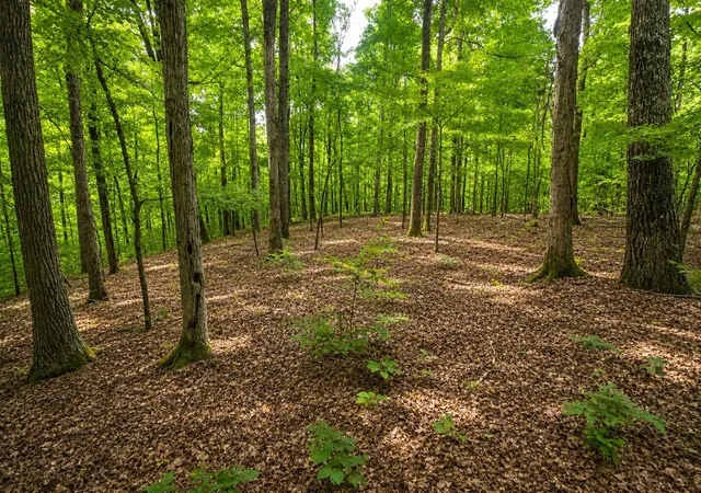 Photo 1 of Land for sale at 0 Maple Grv Rd, Dickson, TN 37055 | MLS# 3208195 | Listing updated on 2026-08-26