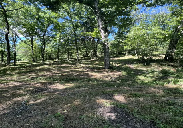 Homes for sale in Elmwood, TN | 0 Horseshoe Bend Ln, Elmwood, TN 38560 | MLS# 3230237