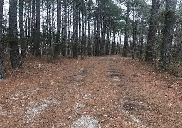 Photo 3 of Land for sale at 18 Allens Bnd Rd, Smithville, TN 37166 | MLS# 3191023 | Listing updated on 2026-08-15