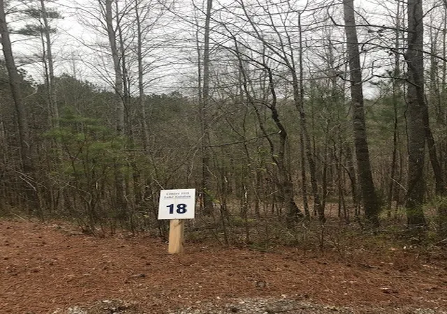 Photo 5 of Land for sale at 18 Allens Bnd Rd, Smithville, TN 37166 | MLS# 3191023 | Listing updated on 2026-08-15