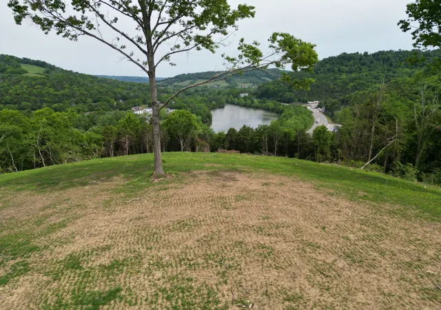 1st image of 0 Baugh Hollow Rd, Gainesboro, TN 38562 | MLS# 3191214