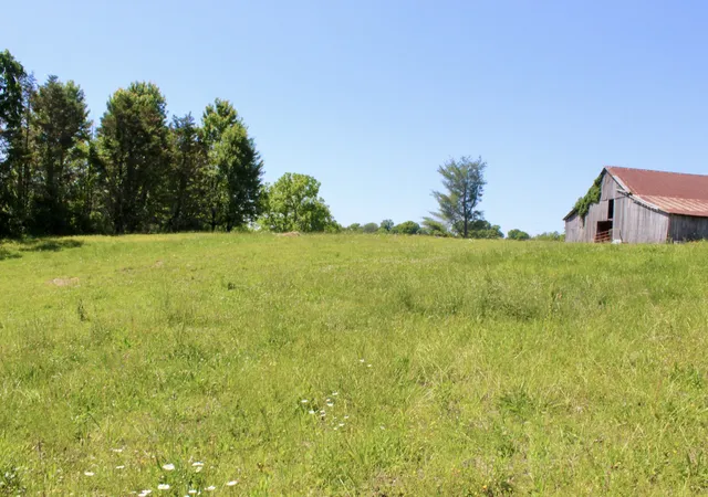 Homes for sale in Greenbrier, TN | 7180 Hall Rd, Greenbrier, TN 37073 | MLS# 3208338