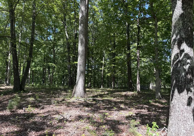 2nd image of 0 Keytown Rd, Portland, TN 37148 | MLS# 3191615