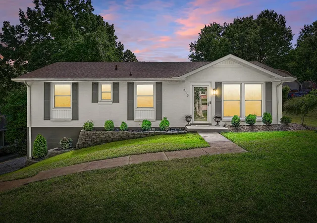 Photo 1 of Single family home for sale at 313 Hilldale Ln, Clarksville, TN 37043 | MLS# 3221594 | Listing updated on 2026-09-20