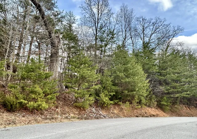 2nd image of 0 Topaz Lane, New Tazewell, TN 37825 | MLS# 3250410