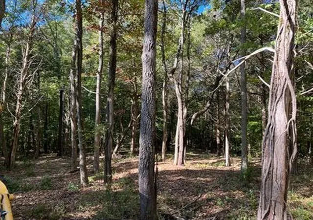Homes for sale in Bumpus Mills, TN | 21 Bayview Dr, Bumpus Mills, TN 37028 | MLS# 3191735
