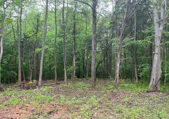 Homes for sale in Bumpus Mills, TN | 21 Bayview Dr, Bumpus Mills, TN 37028 | MLS# 3191735