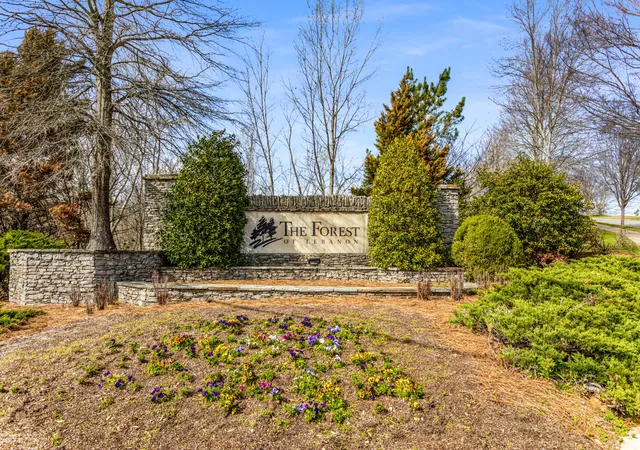 54th image of 232 Amana Dr, Lebanon, TN 37087 | MLS# 3191791