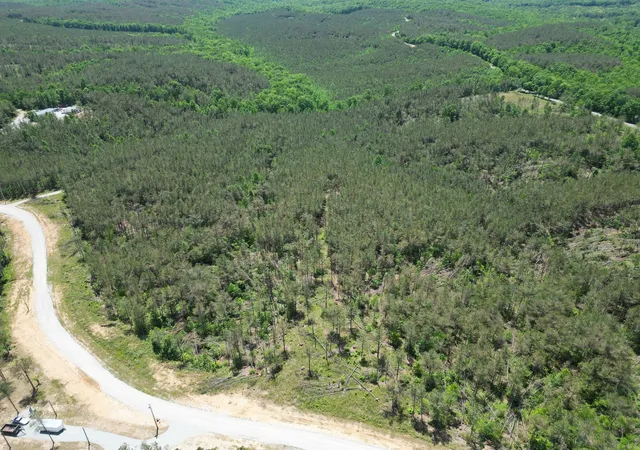 3rd image of 140 Pinewood Dr, Hohenwald, TN 38462 | MLS# 3204737