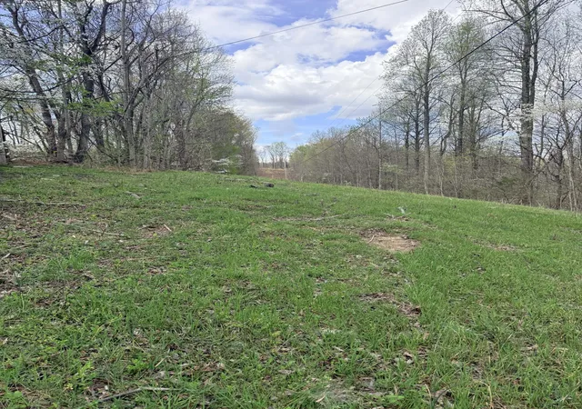 Homes for sale in Liberty, TN | 935 Sugar Tree Knob Rd, Liberty, TN 37095 | MLS# 3200090