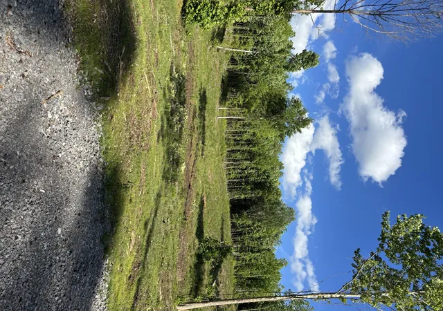 2nd image of 0 Hwy 27, Whitwell, TN 37397 | MLS# 3206891