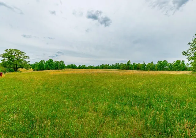 1st image of 0 Ray Gadd Road, Graysville, TN 37338 | MLS# 3337335