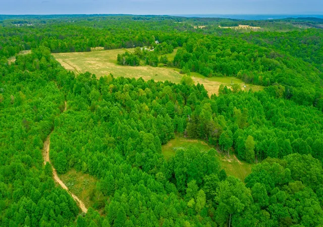 2nd image of 0 Ray Gadd Road, Graysville, TN 37338 | MLS# 3337335