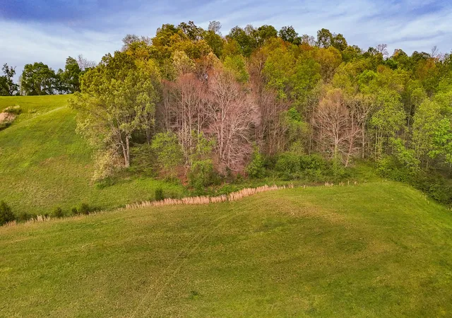 Photo 3 of Land for sale at 53 Pleasant Hl Rd, Lynchburg, TN 37352 | MLS# 3193771 | Listing updated on 2026-08-18