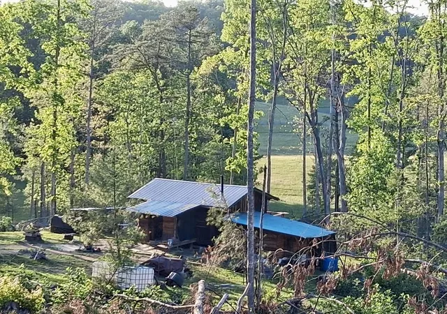 Homes for sale in Tellico Plains, TN | 233 Finger Board Road, Tellico Plains, TN 37385 | MLS# 3250407
