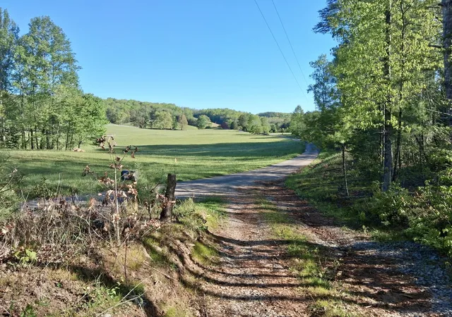 Homes for sale in Tellico Plains, TN | 233 Finger Board Road, Tellico Plains, TN 37385 | MLS# 3250407