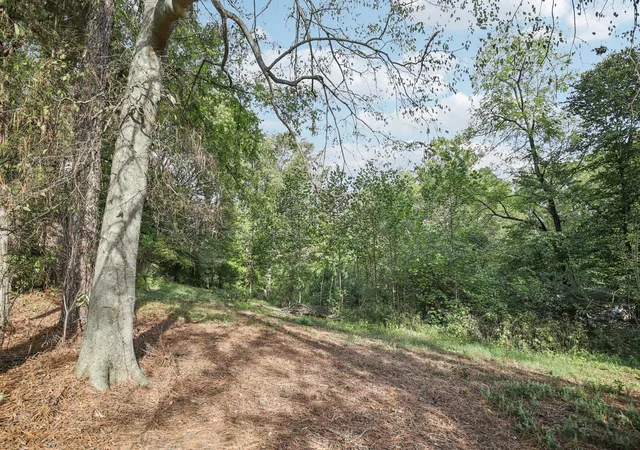 3rd image of 0 Old Clarksville Pk, Joelton, TN 37080 | MLS# 3193818