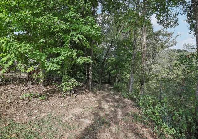 5th image of 0 Old Clarksville Pk, Joelton, TN 37080 | MLS# 3193818